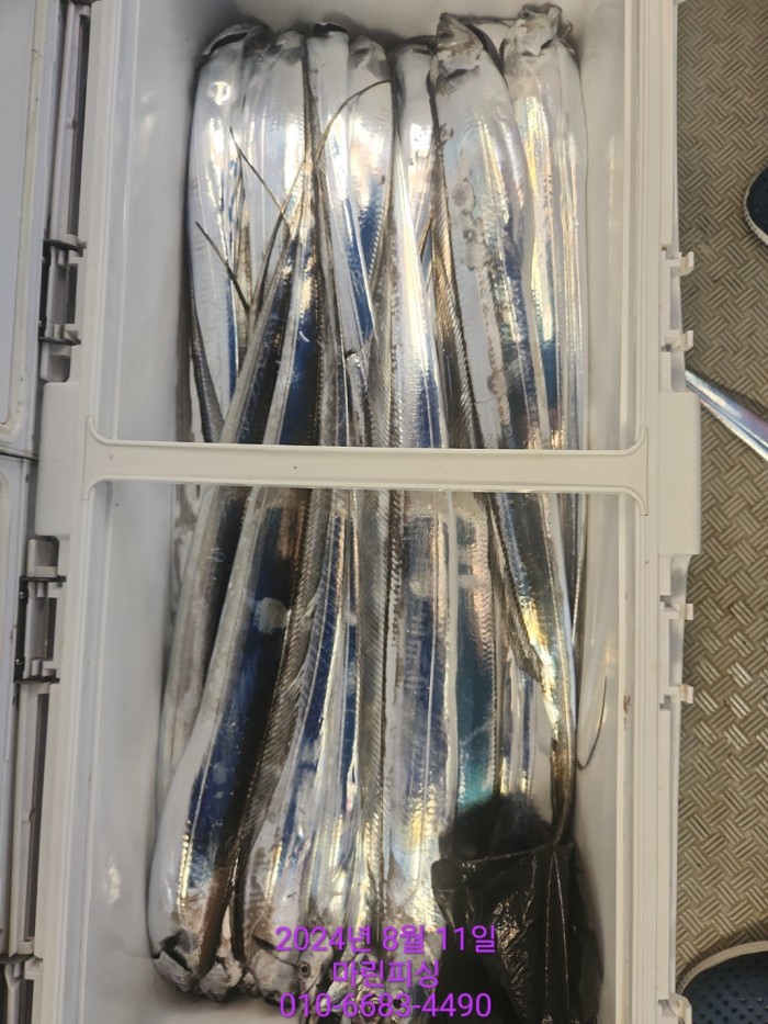 ea84bdd22956338110db5cfcc48ddb86_1723336898_9476.jpg ea84bdd22956338110db5cfcc48ddb86_1723336898_9476.jpg