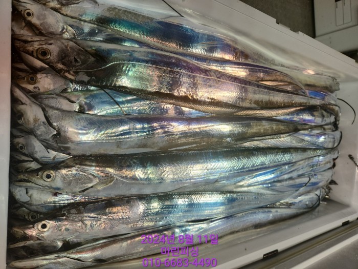 ea84bdd22956338110db5cfcc48ddb86_1723336900_308.jpg ea84bdd22956338110db5cfcc48ddb86_1723336900_308.jpg