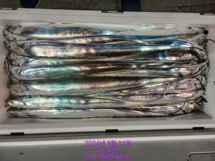 ea84bdd22956338110db5cfcc48ddb86_1723336901_5459.jpg ea84bdd22956338110db5cfcc48ddb86_1723336901_5459.jpg