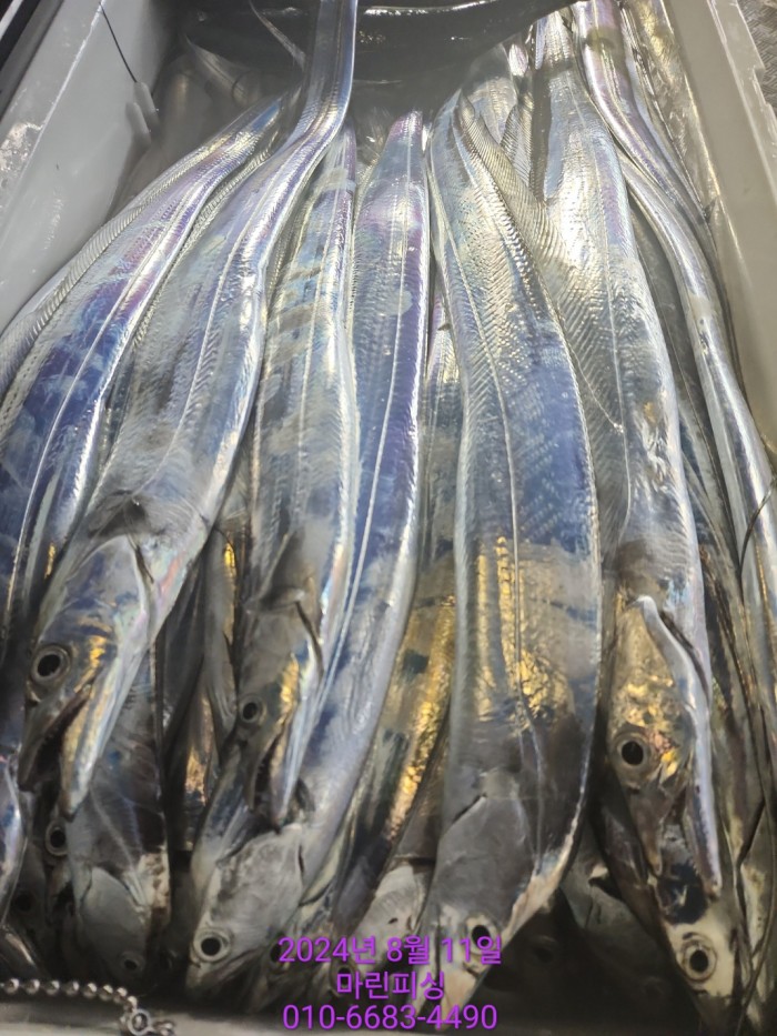 ea84bdd22956338110db5cfcc48ddb86_1723336902_8954.jpg ea84bdd22956338110db5cfcc48ddb86_1723336902_8954.jpg