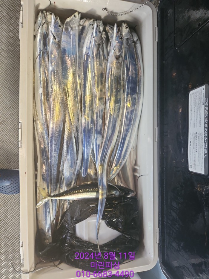 ea84bdd22956338110db5cfcc48ddb86_1723336904_0207.jpg ea84bdd22956338110db5cfcc48ddb86_1723336904_0207.jpg