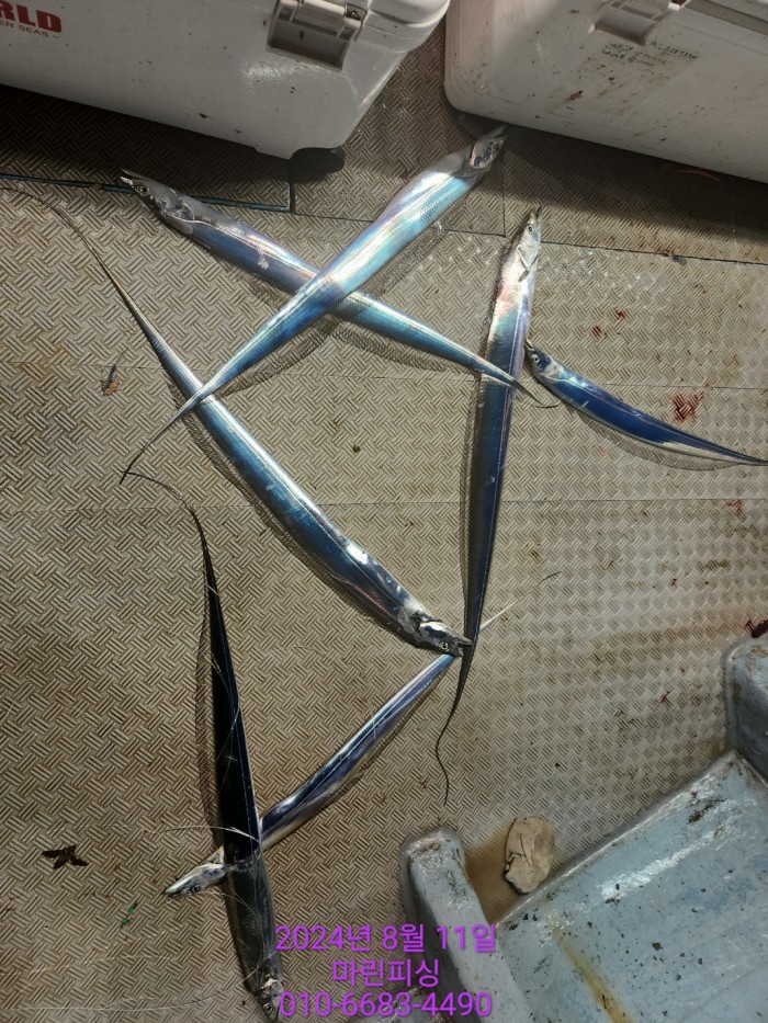 ea84bdd22956338110db5cfcc48ddb86_1723336905_8293.jpg ea84bdd22956338110db5cfcc48ddb86_1723336905_8293.jpg