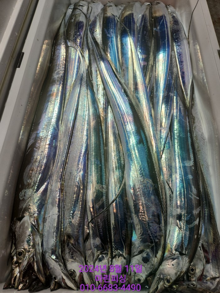 ea84bdd22956338110db5cfcc48ddb86_1723336908_1754.jpg ea84bdd22956338110db5cfcc48ddb86_1723336908_1754.jpg