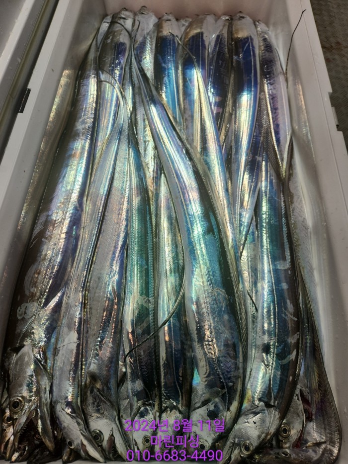 ea84bdd22956338110db5cfcc48ddb86_1723336909_7403.jpg ea84bdd22956338110db5cfcc48ddb86_1723336909_7403.jpg