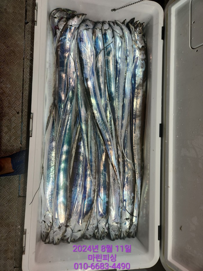 ea84bdd22956338110db5cfcc48ddb86_1723336910_9248.jpg ea84bdd22956338110db5cfcc48ddb86_1723336910_9248.jpg