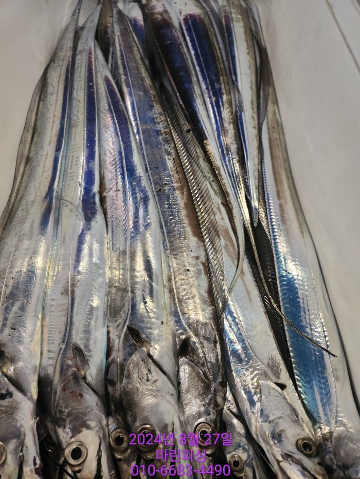 ed3cfd7d4e247b64f8002e1f122d835f_1724729823_3355.jpg ed3cfd7d4e247b64f8002e1f122d835f_1724729823_3355.jpg