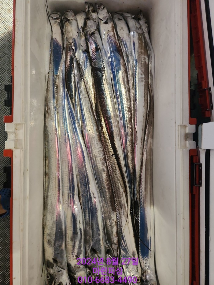 ed3cfd7d4e247b64f8002e1f122d835f_1724729824_6895.jpg ed3cfd7d4e247b64f8002e1f122d835f_1724729824_6895.jpg