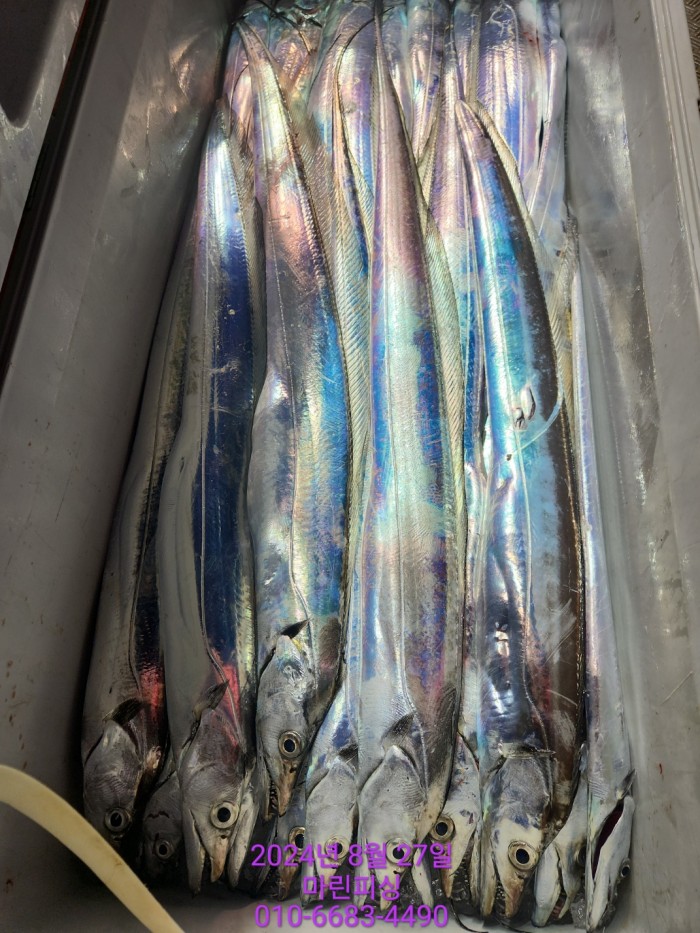 ed3cfd7d4e247b64f8002e1f122d835f_1724729825_7711.jpg ed3cfd7d4e247b64f8002e1f122d835f_1724729825_7711.jpg