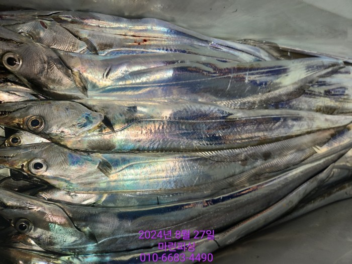 ed3cfd7d4e247b64f8002e1f122d835f_1724729828_6052.jpg ed3cfd7d4e247b64f8002e1f122d835f_1724729828_6052.jpg