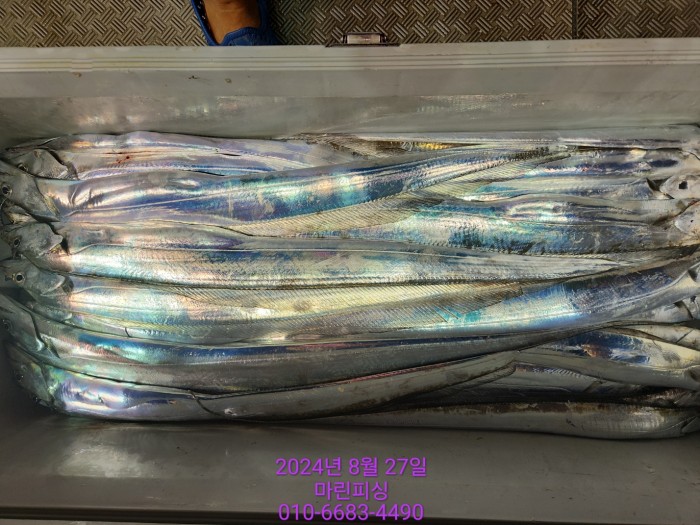 ed3cfd7d4e247b64f8002e1f122d835f_1724729829_8727.jpg ed3cfd7d4e247b64f8002e1f122d835f_1724729829_8727.jpg