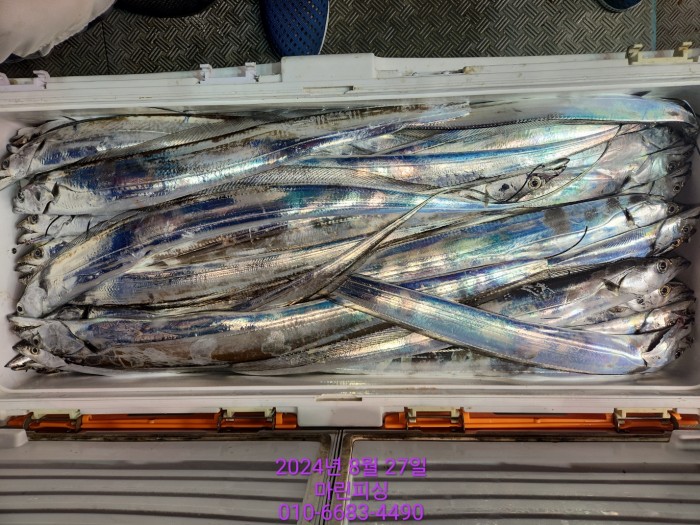 ed3cfd7d4e247b64f8002e1f122d835f_1724729831_061.jpg ed3cfd7d4e247b64f8002e1f122d835f_1724729831_061.jpg