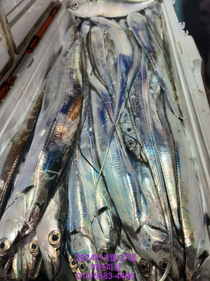 ed3cfd7d4e247b64f8002e1f122d835f_1724729832_5572.jpg ed3cfd7d4e247b64f8002e1f122d835f_1724729832_5572.jpg