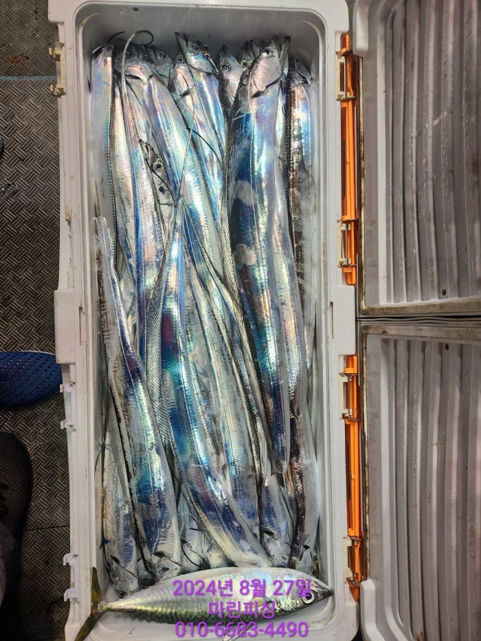 ed3cfd7d4e247b64f8002e1f122d835f_1724729833_8757.jpg ed3cfd7d4e247b64f8002e1f122d835f_1724729833_8757.jpg