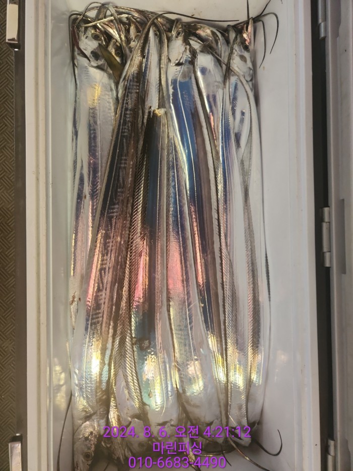 fca674a8364e20eca554f0690e7666b3_1722905861_8559.jpg fca674a8364e20eca554f0690e7666b3_1722905861_8559.jpg