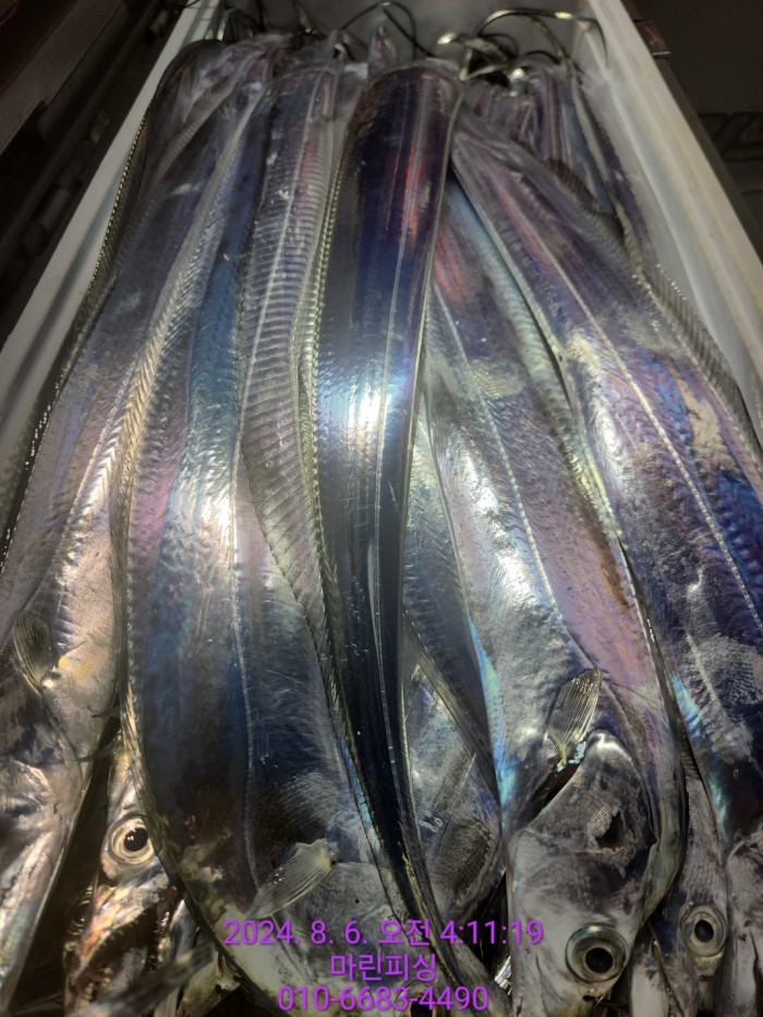 fca674a8364e20eca554f0690e7666b3_1722905866_4729.jpg fca674a8364e20eca554f0690e7666b3_1722905866_4729.jpg