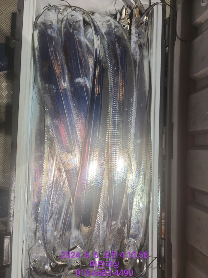 fca674a8364e20eca554f0690e7666b3_1722905867_8393.jpg fca674a8364e20eca554f0690e7666b3_1722905867_8393.jpg