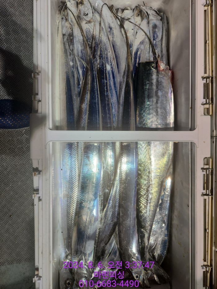 fca674a8364e20eca554f0690e7666b3_1722905869_1089.jpg fca674a8364e20eca554f0690e7666b3_1722905869_1089.jpg