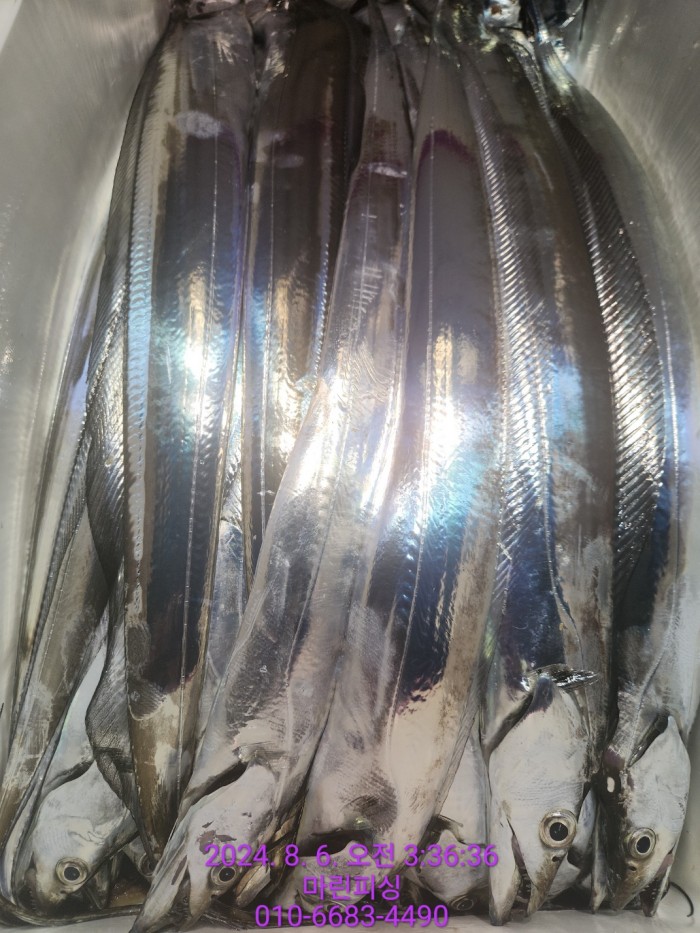 fca674a8364e20eca554f0690e7666b3_1722905870_3694.jpg fca674a8364e20eca554f0690e7666b3_1722905870_3694.jpg