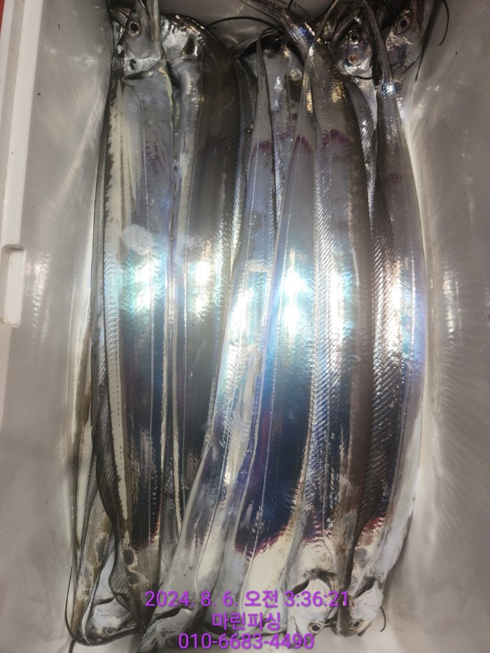 fca674a8364e20eca554f0690e7666b3_1722905871_6452.jpg fca674a8364e20eca554f0690e7666b3_1722905871_6452.jpg