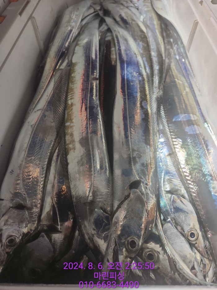 fca674a8364e20eca554f0690e7666b3_1722905872_9135.jpg fca674a8364e20eca554f0690e7666b3_1722905872_9135.jpg