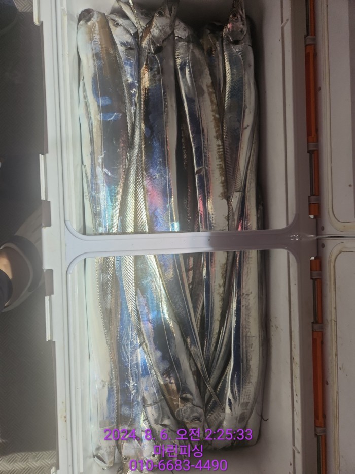 fca674a8364e20eca554f0690e7666b3_1722905874_0289.jpg fca674a8364e20eca554f0690e7666b3_1722905874_0289.jpg