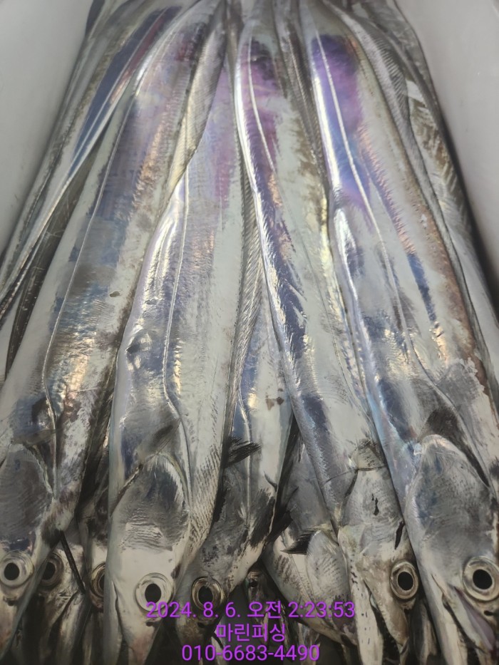 fca674a8364e20eca554f0690e7666b3_1722905875_2102.jpg fca674a8364e20eca554f0690e7666b3_1722905875_2102.jpg