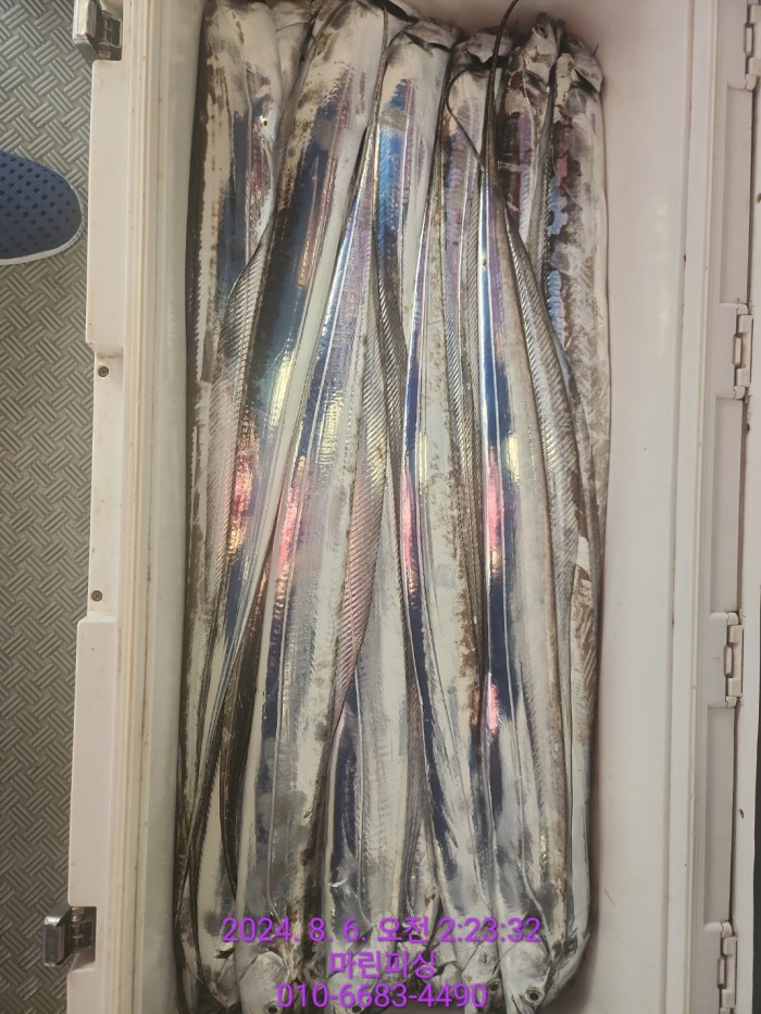 fca674a8364e20eca554f0690e7666b3_1722905876_5156.jpg fca674a8364e20eca554f0690e7666b3_1722905876_5156.jpg