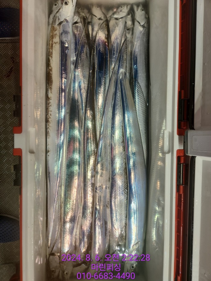 fca674a8364e20eca554f0690e7666b3_1722905878_4485.jpg fca674a8364e20eca554f0690e7666b3_1722905878_4485.jpg