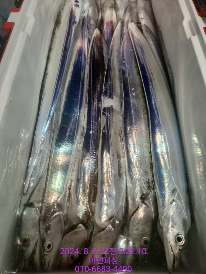 fca674a8364e20eca554f0690e7666b3_1722905879_5521.jpg fca674a8364e20eca554f0690e7666b3_1722905879_5521.jpg