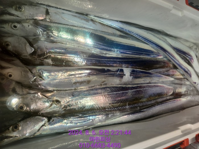 fca674a8364e20eca554f0690e7666b3_1722905880_7194.jpg fca674a8364e20eca554f0690e7666b3_1722905880_7194.jpg