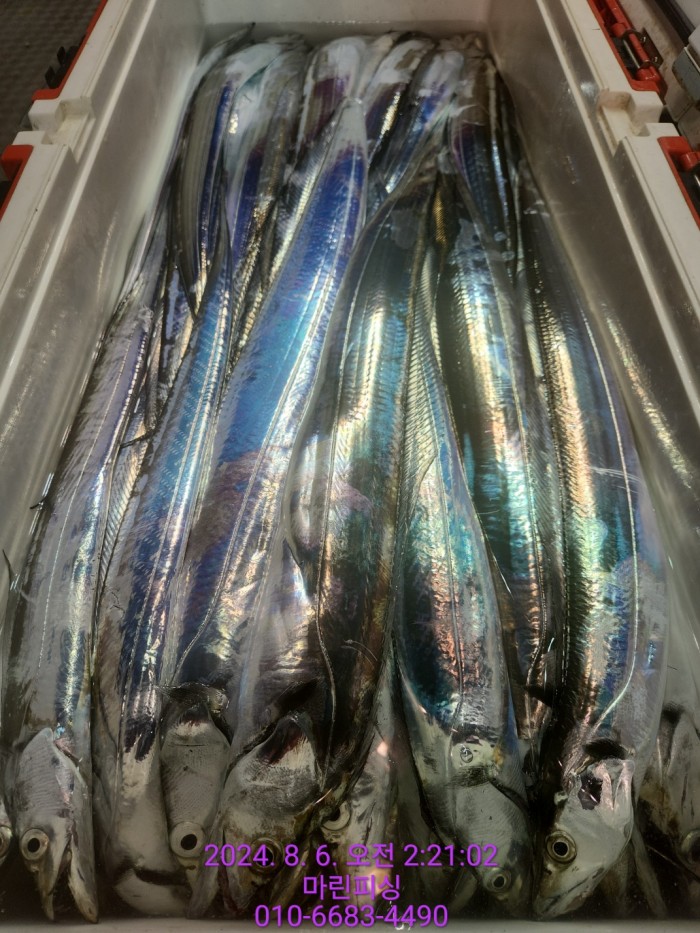 fca674a8364e20eca554f0690e7666b3_1722905882_2509.jpg fca674a8364e20eca554f0690e7666b3_1722905882_2509.jpg