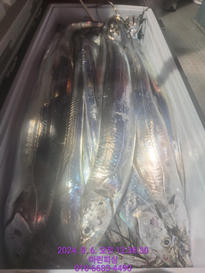 fca674a8364e20eca554f0690e7666b3_1722905883_5438.jpg fca674a8364e20eca554f0690e7666b3_1722905883_5438.jpg