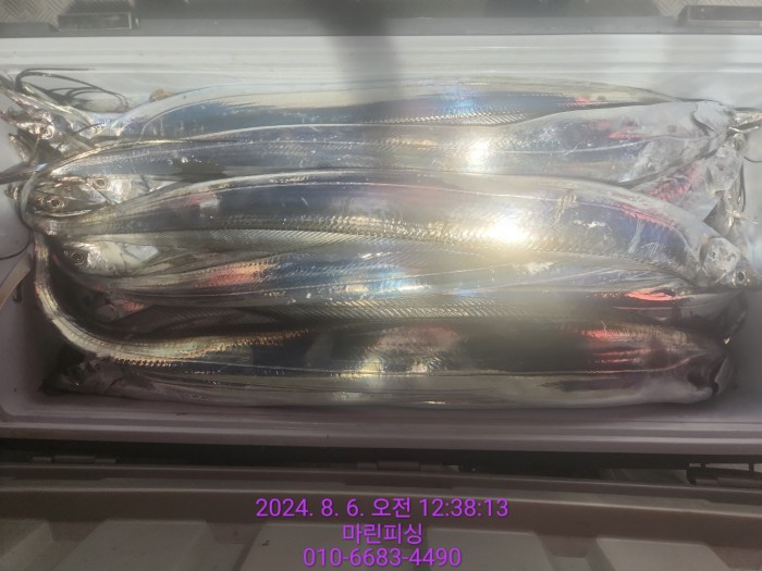 fca674a8364e20eca554f0690e7666b3_1722905884_3798.jpg fca674a8364e20eca554f0690e7666b3_1722905884_3798.jpg