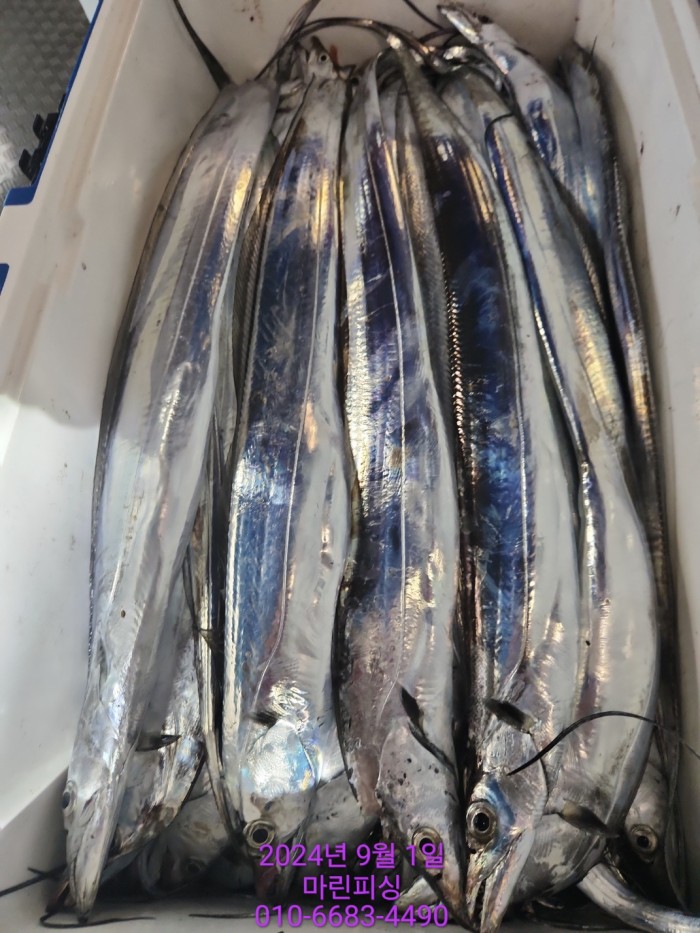 1bf9a8371016cd0471c9ee6416b63314_1725145482_8734.jpg 1bf9a8371016cd0471c9ee6416b63314_1725145482_8734.jpg