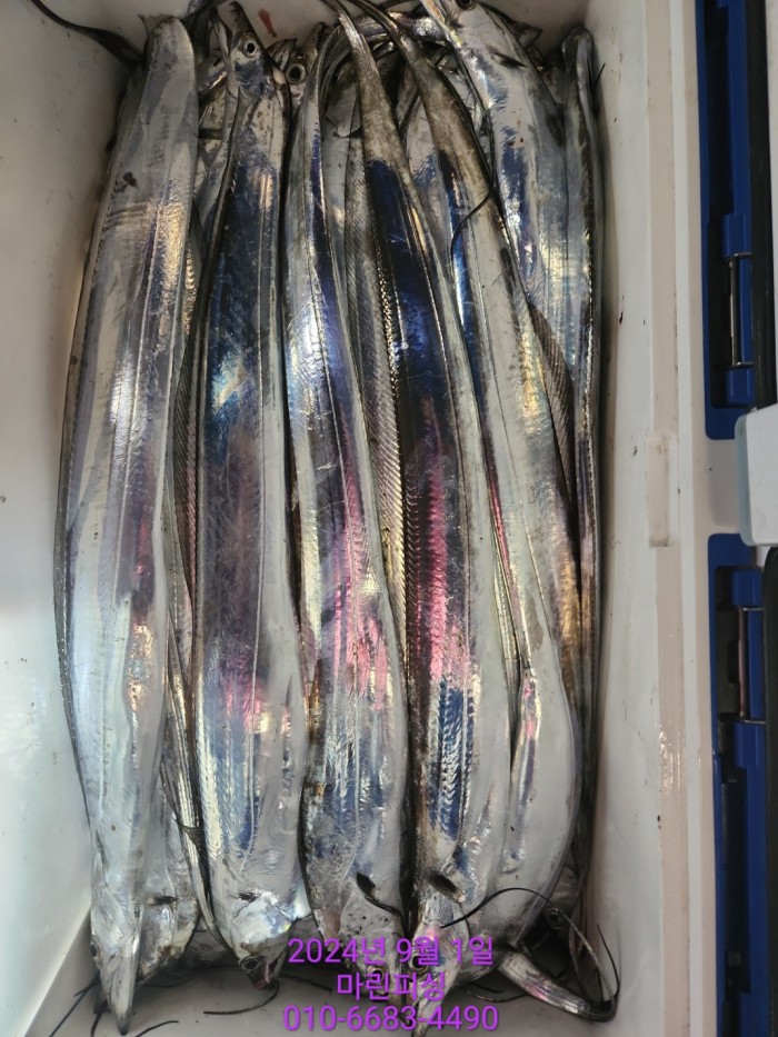 1bf9a8371016cd0471c9ee6416b63314_1725145484_2305.jpg 1bf9a8371016cd0471c9ee6416b63314_1725145484_2305.jpg