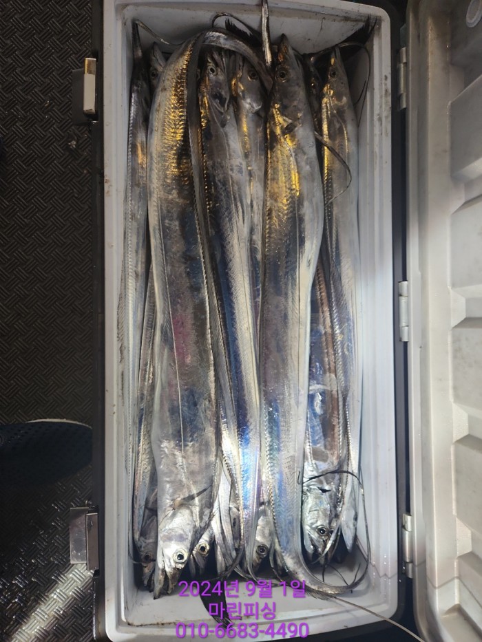 1bf9a8371016cd0471c9ee6416b63314_1725145485_6021.jpg 1bf9a8371016cd0471c9ee6416b63314_1725145485_6021.jpg