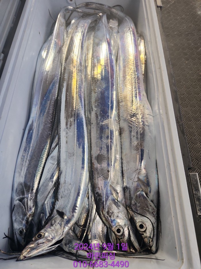 1bf9a8371016cd0471c9ee6416b63314_1725145487_3886.jpg 1bf9a8371016cd0471c9ee6416b63314_1725145487_3886.jpg