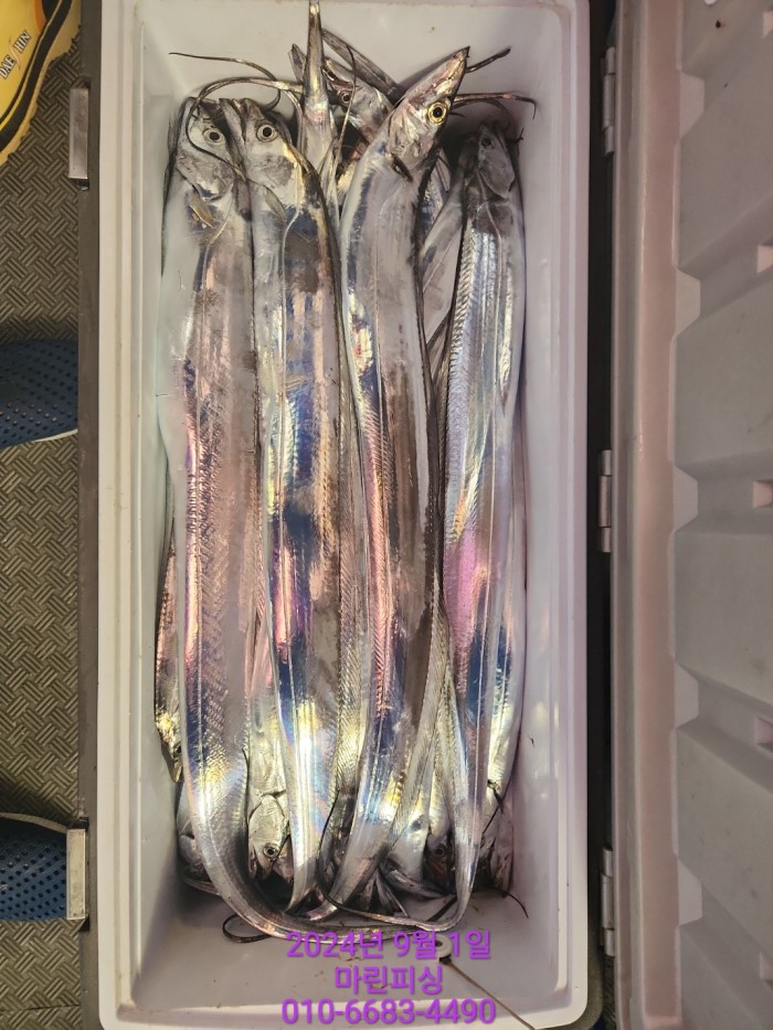 1bf9a8371016cd0471c9ee6416b63314_1725145488_8824.jpg 1bf9a8371016cd0471c9ee6416b63314_1725145488_8824.jpg