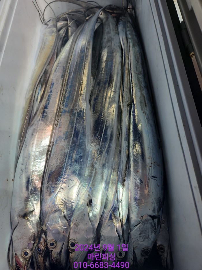 1bf9a8371016cd0471c9ee6416b63314_1725145490_3719.jpg 1bf9a8371016cd0471c9ee6416b63314_1725145490_3719.jpg