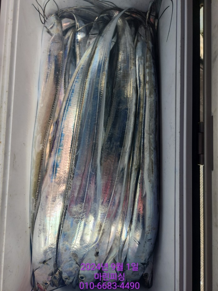 1bf9a8371016cd0471c9ee6416b63314_1725145491_4263.jpg 1bf9a8371016cd0471c9ee6416b63314_1725145491_4263.jpg