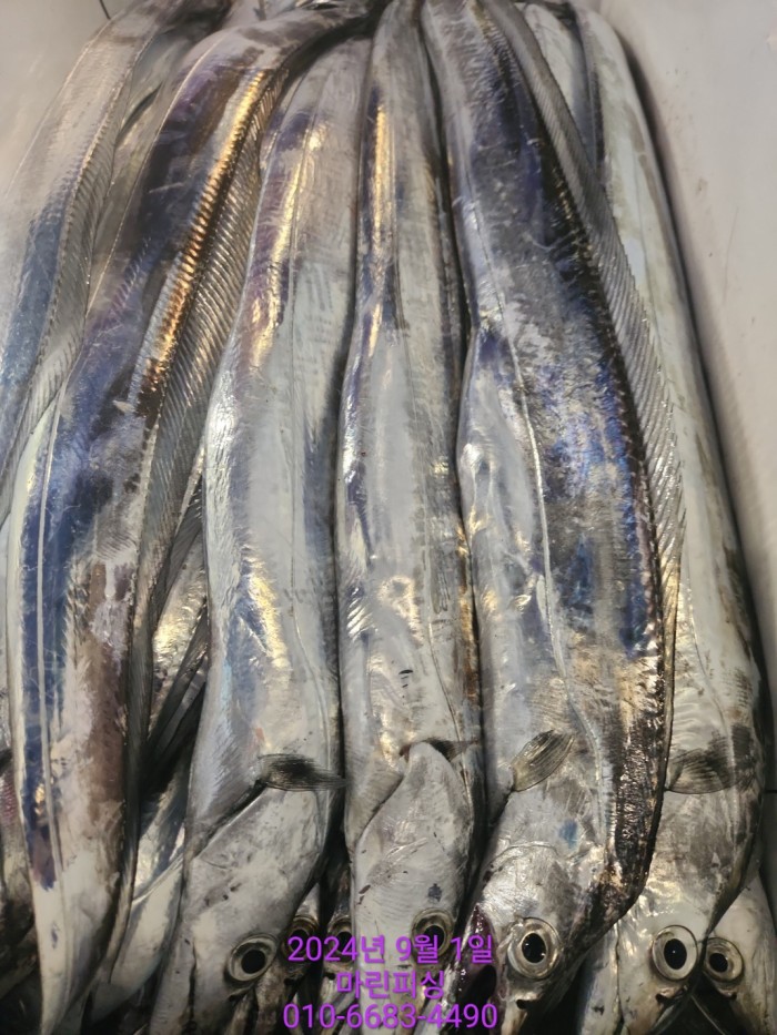 1bf9a8371016cd0471c9ee6416b63314_1725145492_6338.jpg 1bf9a8371016cd0471c9ee6416b63314_1725145492_6338.jpg