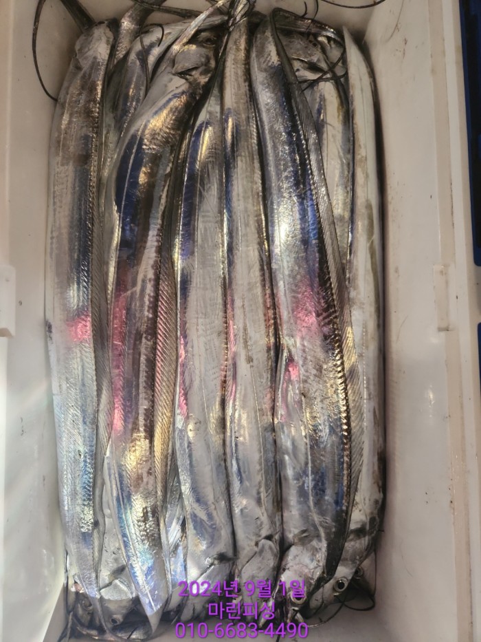 1bf9a8371016cd0471c9ee6416b63314_1725145493_8791.jpg 1bf9a8371016cd0471c9ee6416b63314_1725145493_8791.jpg