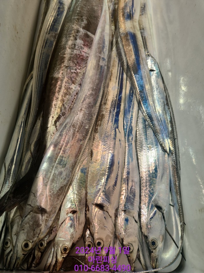 1bf9a8371016cd0471c9ee6416b63314_1725145495_3495.jpg 1bf9a8371016cd0471c9ee6416b63314_1725145495_3495.jpg