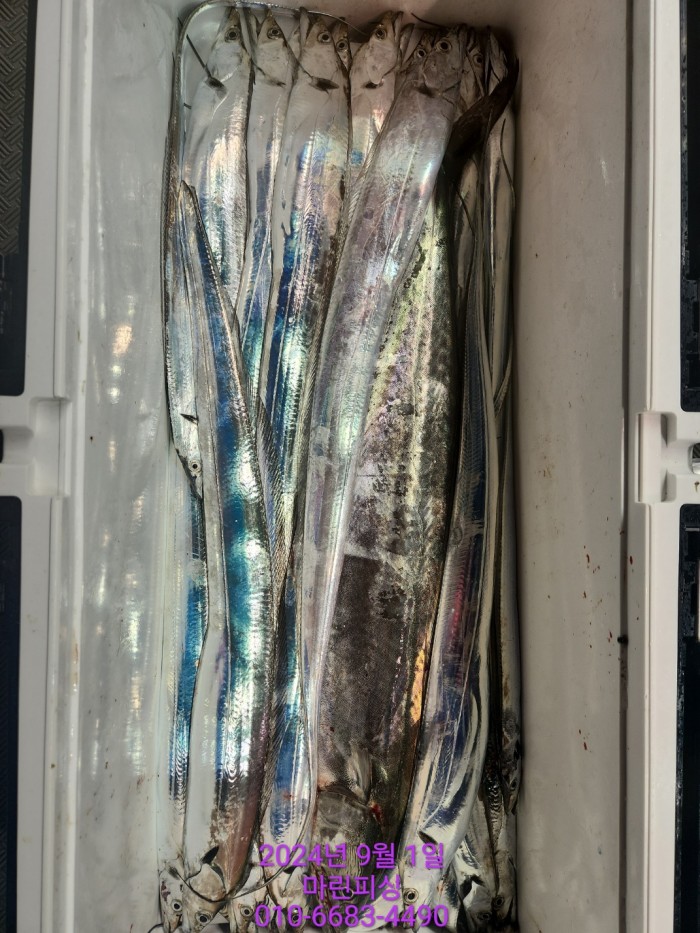 1bf9a8371016cd0471c9ee6416b63314_1725145496_7782.jpg 1bf9a8371016cd0471c9ee6416b63314_1725145496_7782.jpg