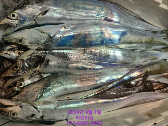 1bf9a8371016cd0471c9ee6416b63314_1725145498_0116.jpg 1bf9a8371016cd0471c9ee6416b63314_1725145498_0116.jpg