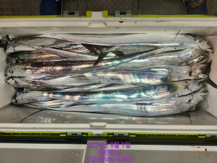 1bf9a8371016cd0471c9ee6416b63314_1725145499_1584.jpg 1bf9a8371016cd0471c9ee6416b63314_1725145499_1584.jpg