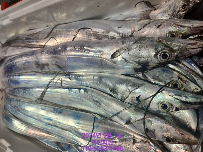 1bf9a8371016cd0471c9ee6416b63314_1725145500_5777.jpg 1bf9a8371016cd0471c9ee6416b63314_1725145500_5777.jpg