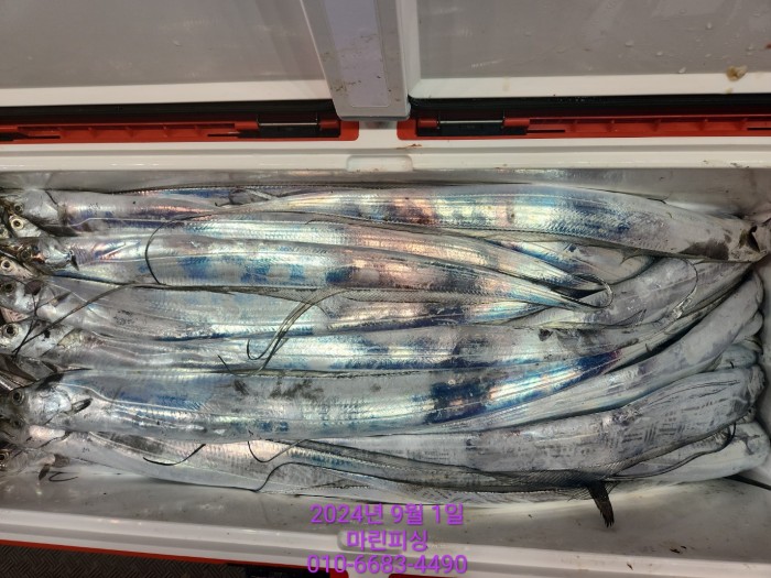 1bf9a8371016cd0471c9ee6416b63314_1725145501_9672.jpg 1bf9a8371016cd0471c9ee6416b63314_1725145501_9672.jpg