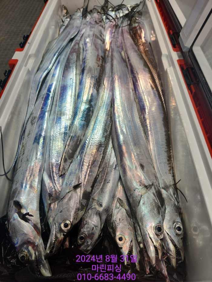 1bf9a8371016cd0471c9ee6416b63314_1725145503_1744.jpg 1bf9a8371016cd0471c9ee6416b63314_1725145503_1744.jpg