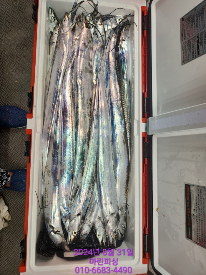 1bf9a8371016cd0471c9ee6416b63314_1725145504_4097.jpg 1bf9a8371016cd0471c9ee6416b63314_1725145504_4097.jpg